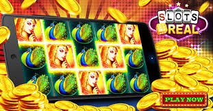 36t bet com